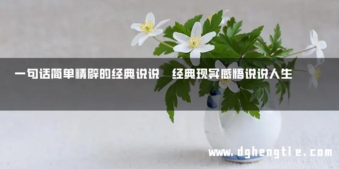 一句话简单精辟的经典说说 经典现实感悟说说人生